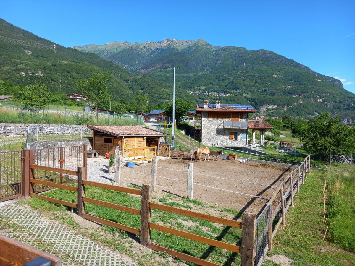 Azienda Agricola Agriturismo I Sei Petali Capo di Ponte Exterior photo