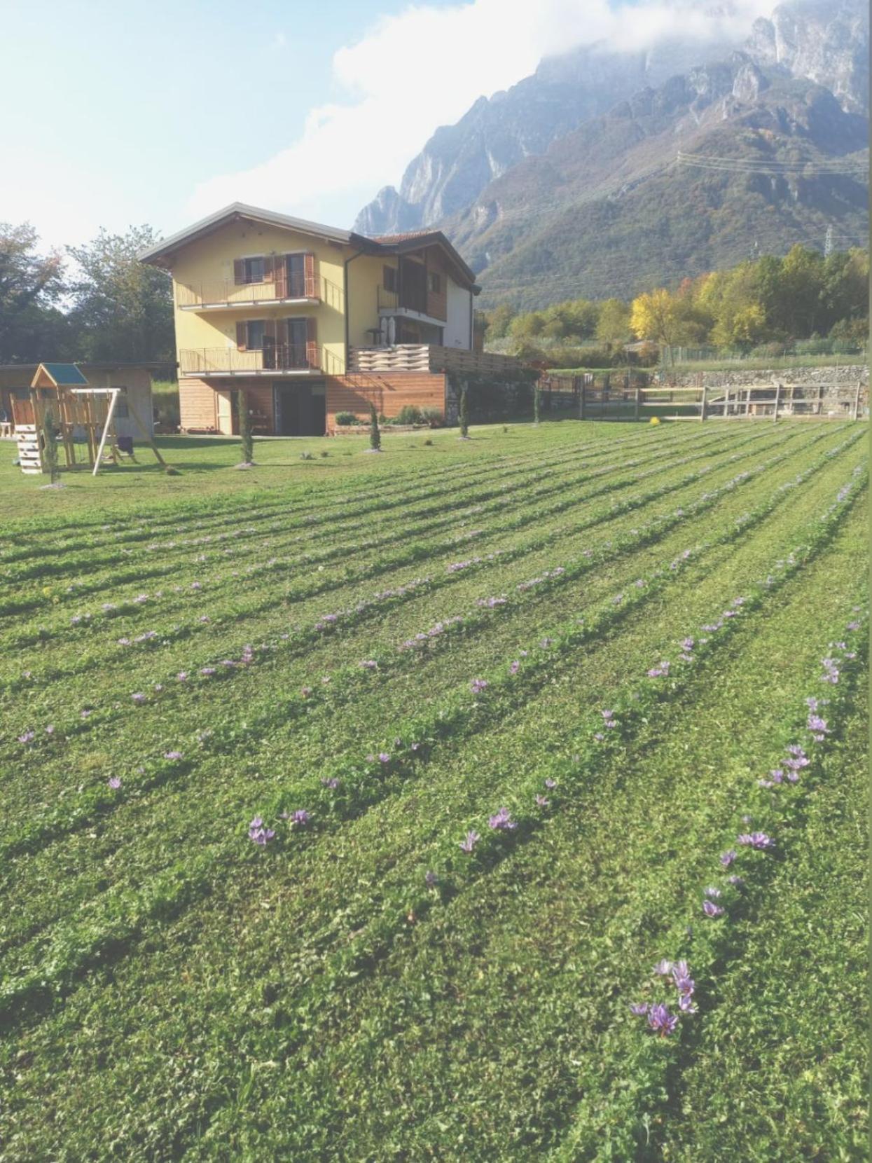 Azienda Agricola Agriturismo I Sei Petali Capo di Ponte Exterior photo